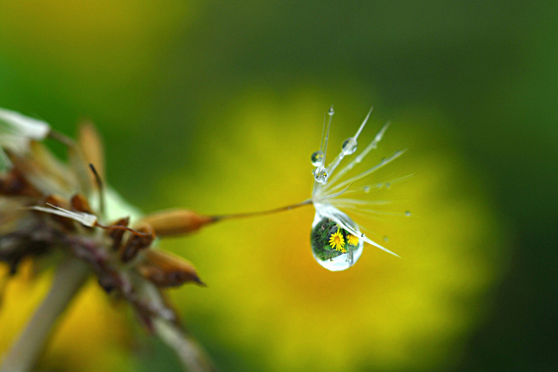 漢斯頓的競爭優勢在哪里
