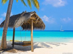 漢斯頓溫馨提示：酷夏飲水要注意什么？