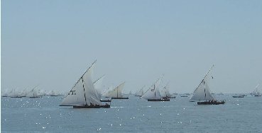 百舸爭流，不進則退，未雨綢繆才能贏發展